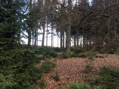 keine Windkraft im Arnsberger Wald